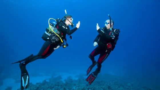 AIDA - Education Scuba Diving